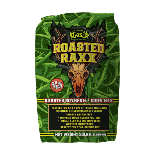 Roasted Raxx Corn Attractive