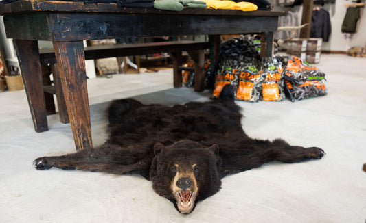 Bear Rug